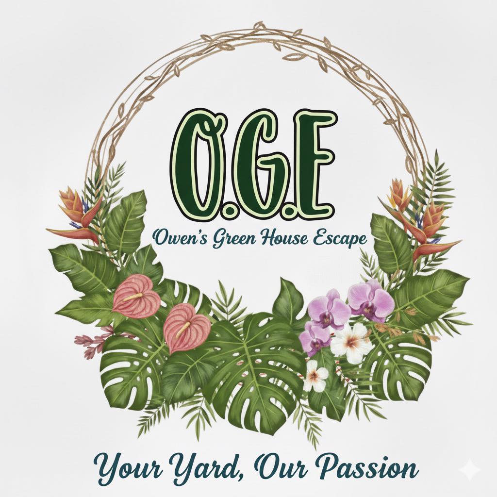 Owen's Green House | Flowers in Orange Walk | Flowers in Belize